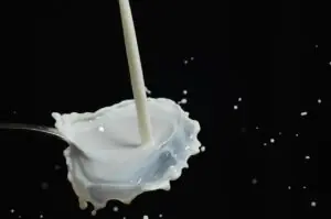 Die 10 besten Milchauffangschalen