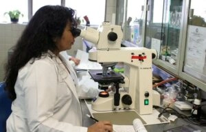 Labortest einer Vaterschaft